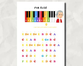 Fur Elise Beginner Klavier Noten - Color Coded (Digital PDF)