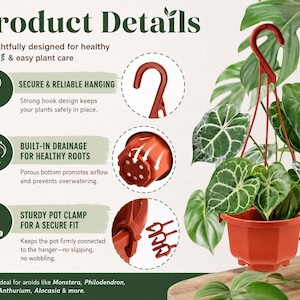 Plastic Hanging Plant Pot – 3.7" Terracotta | S-Hook Hanger | Drainage Holes | Add-On for Plant Orders | Aroid Hanging Planter