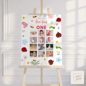 Love Bug 1st Birthday Photo Milestone Sign | Ladybug Birthday | Sweet Love Bug Editable Poster | Girl Birthday | Digital Download | Canva