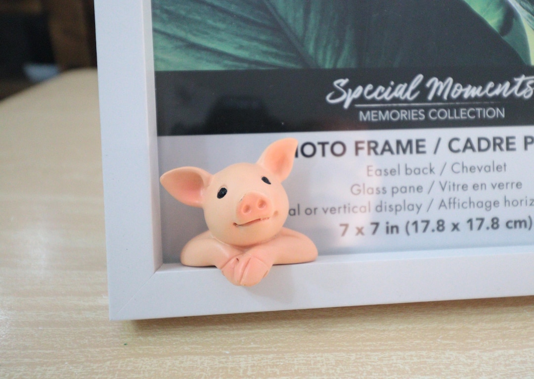 Pig in Picture Frame | Whimsical Pig Lover Gift - Etsy
