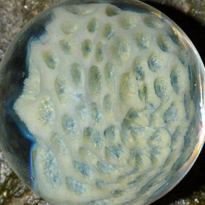 Glass Marble Honeycomb in Irrid over Green A. Purple - Handblown