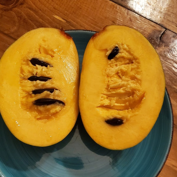 パパイヤ果樹2本 - *2026年春* デジタル予約