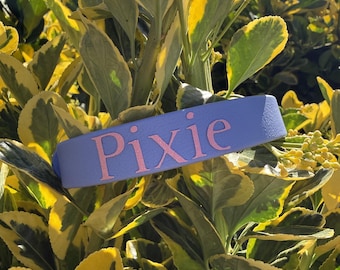 Custom BioThane Flat Name Dog Collar Waterproof Personalized Collar with Name