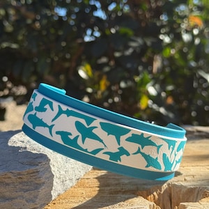 1" with 1.5" underlay Shark Biothane Pet Collars - Waterproof, Vegan, Adjustable
