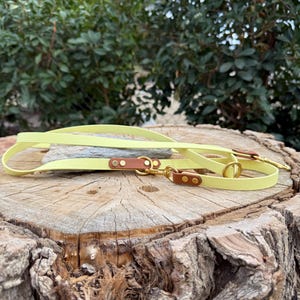 Two-Tone Biothane® Hands-Free Dog Leash – 4-in-1 Versatility