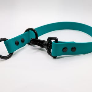 Biothane Modified Slip Collar – 3/4" | Waterproof | Slip or Flat-Clip | Custom Color