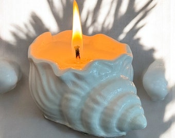 Concrete Shell Candle: Coconut Apricot Wax, Modern Decor, Handmade in Florida