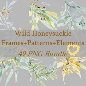 Floral Delight Honeysuckle Lonicera Arrangements Vibrant Yellow Flowers Elegant Floral Frame Element Pattern Pack 49 png