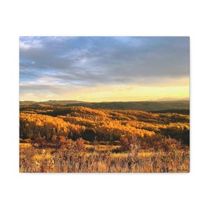 May include: A panoramic view of a valley with rolling hills covered in golden autumn leaves. The sky is a mix of blue and white clouds with a hint of orange from the setting sun.