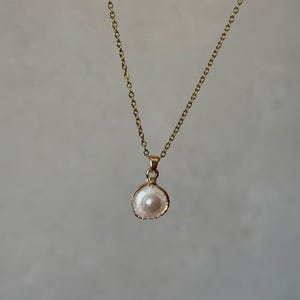 Pearl Seashell Necklace, Beach Jewelry, Natural Shell and Pearl Pendant, Ocean Inspired Necklace, Coastal Jewelry, Gift for Her
