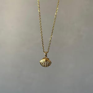 Seashell Necklace, Dainty Shell Pendant, Beach Jewelry for Women, Ocean Inspired Necklace, Coastal Summer Jewelry, Gift for Her
