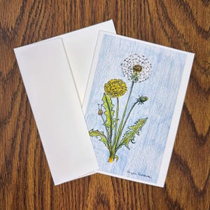 Dandelion greeting card; printed colored pencil sketch card