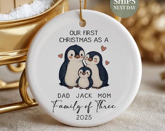 Family of Three Christmas Ornament, Custom New Family Ornament, Baby's First Christmas Ornament, Personalized Family Ornament SL-0443