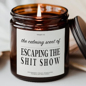 Funny Coworker Farewell Candle Gift for Friend Leaving Job Goodbye Gift for Coworker Sarcastic Candle Funny Moving Gift for Boss SL-0346