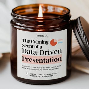 Administrative Day Gift Candle for Executive Assistant Gift Presentation Humor Funny Accountant Gift Data Analyst Gift CPA Gift SL-0208