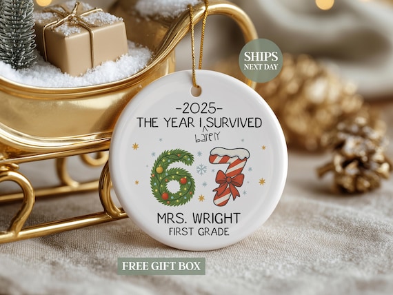 Custom Teacher 67 Ornament, Teacher Ornament, Teacher Six Seven Christmas Ornaments, Funny Teacher Christmas Gift Ornament SL-0464