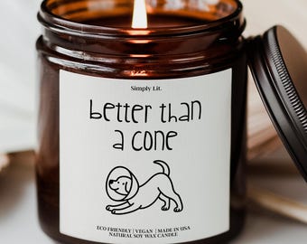 Get Well Soon Gift Funny Post Surgery Gift for Her Heal Quick Gift for Speedy Recovery Pre-Surgery Gift Hysterectomy Gift SL-0066
