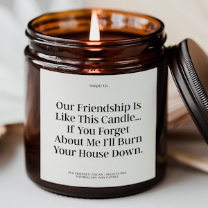 Friendship Candle for Best Friend Gift Friendship Gift Our Friendship is Like This Candle Funny Friend Gift Candle for Friend SL-0333