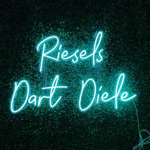 Neon Wedding Sign Last Name | Wedding LED Neon | Handmade in Germany | Photo Wall Decoration | Wedding Gift image 10
