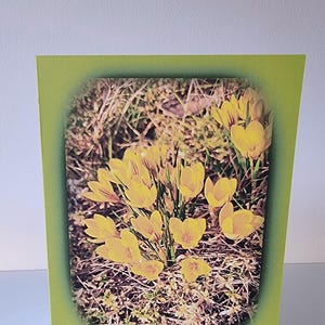 Biglietto per la festa della mamma. Regalo per la mamma. Biglietto con fiori artistici. Biglietto formato A5. Fiori gialli. Fotografia originale e design artistico. Creazione fatta a mano.