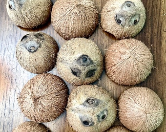 Coconut 15  halves, bird toy ready, fuzzy.