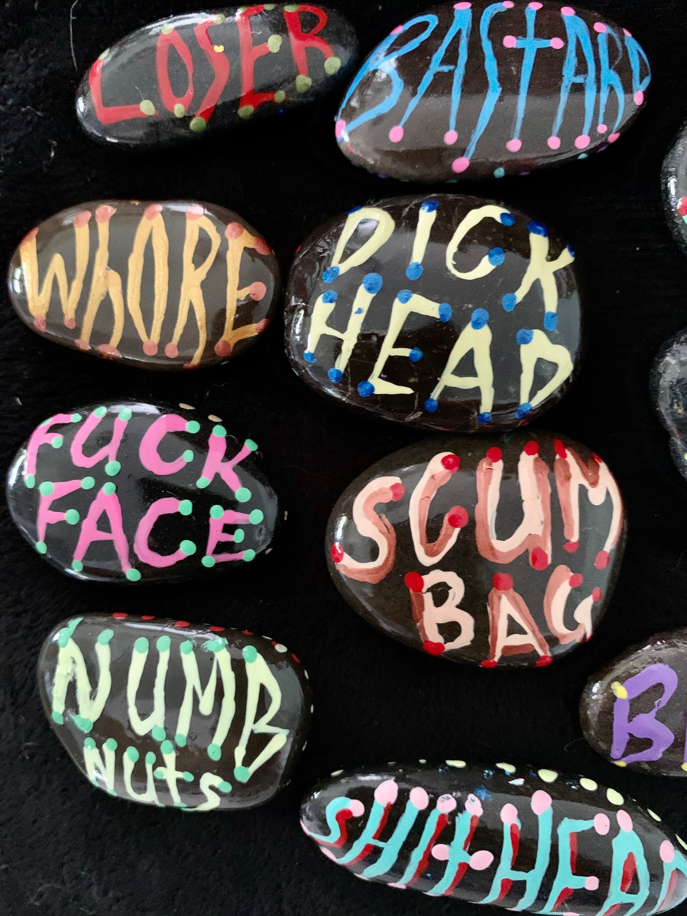 Really Rude Looking Rocks Rock Art. Insult Nasty Words. Rain Forest Stones. - Etsy