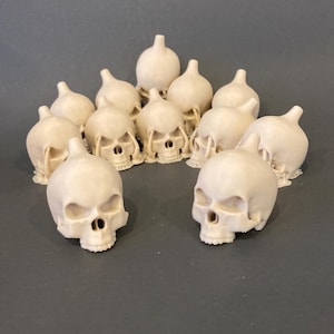 Aztec Death Whistle, Death Whistle, LOUD, Skull, 3D Printed, Original, Whistle, Maya, Aztec, plastic skull, Unique Gift