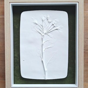 May include: A framed white relief sculpture of a flowering plant. The artwork is set against a dark green background within a white mount and a light wood frame. The plant's delicate details are visible.