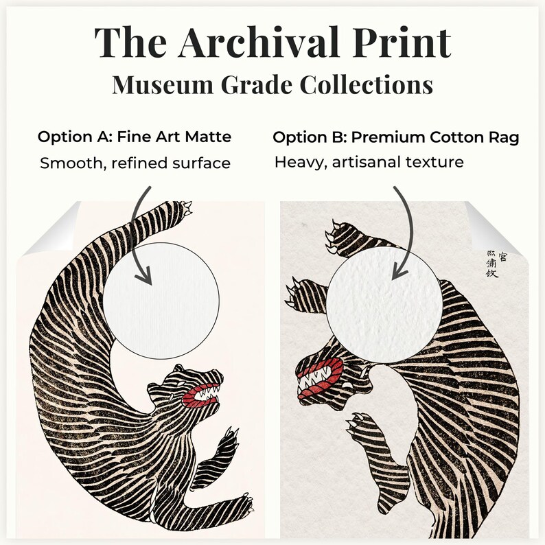May include: The Archival Print Museum Grade Collections display two paper options. Option A: Fine Art Matte with a smooth surface. Option B: Premium Cotton Rag with a heavy texture. Both show a black and white tiger illustration with red accents.