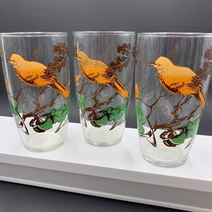 3 - Vintage Glass Tumblers with Brown Thrush Bird