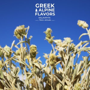 Remedy Tea from Greek Mountains - Sideritis Authentic Greek Mountain Tea - Bio Herbal for boost Immunity & Relaxation, Caffeine Free