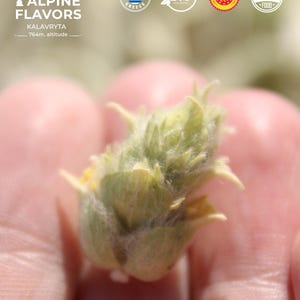Sideritis Calm Tea from Greek Mountain, remedy tea, Authentic Greek Mountain Tea, Bio Herbal for boost Immunity, Caffeine Free