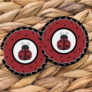Ladybug Car Coaster Set