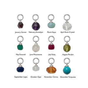May include: Twelve silver charms with different colored gemstones, each representing a different month of the year. The charms are labeled with the month and gemstone name.
