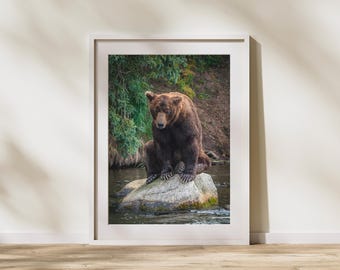 May include: A framed wall art print featuring a large brown bear sitting on a light gray rock in the middle of a river. The bear has thick, dark brown fur and is positioned in front of a lush green forest background with earthy soil tones.