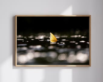Sockeye Salmon Print — Alaska Wildlife Photography | Fine Art Print, River Nature Wall Art, Landscape