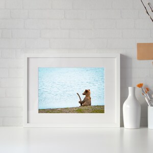 Bear Cub Fishing Print — Brown Bear Wildlife Photography | Alaska Fine Art Print 画像 3