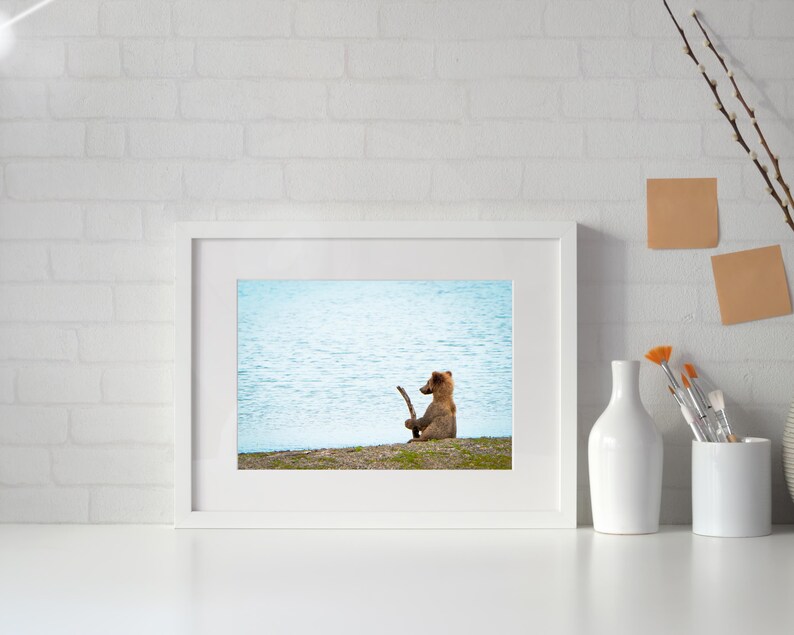 Bear Cub Fishing Print — Brown Bear Wildlife Photography | Alaska Fine Art Print 画像 3