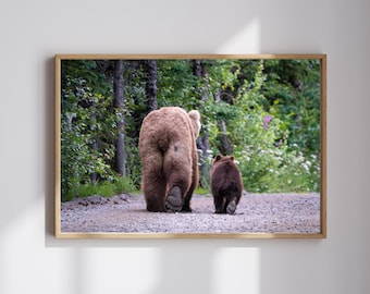 Bear Paw Print - Alaska Brown Bear Fine Art Photography Print | Wildlife Wall Art