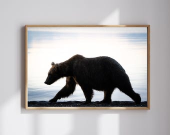 Coastal Brown Bear Silhouette — Alaska Wildlife Photography Print | Fine Art Giclee, Bear Wall Art