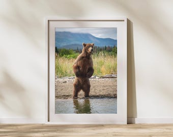 Standing Bear — Brown Bear Upright Alaska Wildlife Photography | Fine Art Print, Bear Wall Art