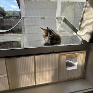 K&ouml;nnte beinhalten: Ein Fenster mit einem Katzengehege. Eine braun-wei&szlig; gefleckte Katze sitzt darin und schaut hinaus. Das Fenster hat eine Katzenklappe. Das Gehege besteht aus wei&szlig;en Rahmen und Drahtgeflecht.