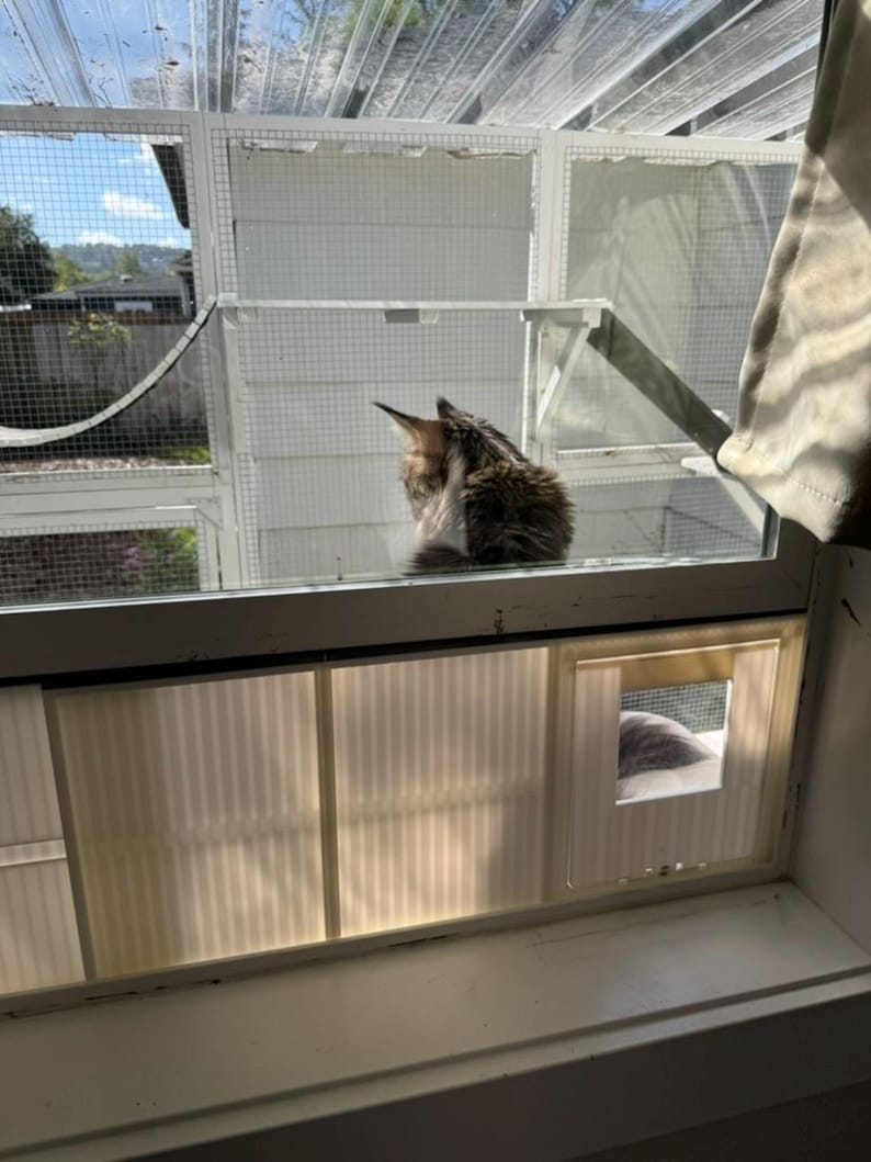K&ouml;nnte beinhalten: Ein Fenster mit einem Katzengehege. Eine braun-wei&szlig; gefleckte Katze sitzt darin und schaut hinaus. Das Fenster hat eine Katzenklappe. Das Gehege besteht aus wei&szlig;en Rahmen und Drahtgeflecht.