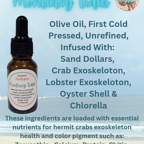 Monterey Tides