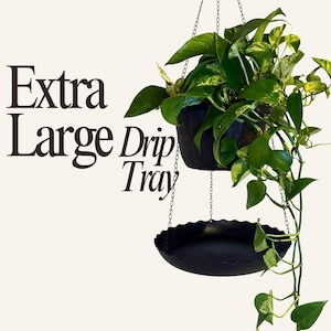 May include: A black hanging planter with a trailing green plant, suspended by chains, above a matching drip tray. The text "Extra Large Drip Tray" is displayed in large, bold letters.