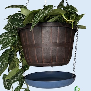 May include: A brown hanging planter with a blue drip tray. The planter has a wood-like texture and is hanging from a black chain. A leafy green plant is growing in the planter.