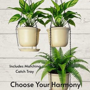 May include: Three cream-colored ribbed hanging planters with black chains. The text reads: Includes Matching Catch Tray, Choose Your Harmony, Plants not included. Each planter features a circular base tray for drainage and a wide rim.