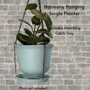 May include: A light blue hanging planter with horizontal ridges, suspended by black chains, featuring a matching catch tray at the base. The text Harmony Hanging Single Planter, Includes Matching Catch Tray, and Plant not included is visible.