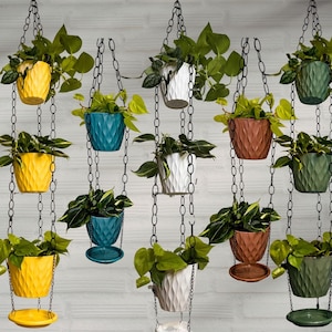 May include: A collection of hanging planters in various colors, including yellow, teal, white, brown, and green. Each planter is filled with green leafy plants and suspended by black chains. The planters have textured surfaces and matching saucers.