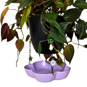Hanging Catch Trays for Plants - Etsy